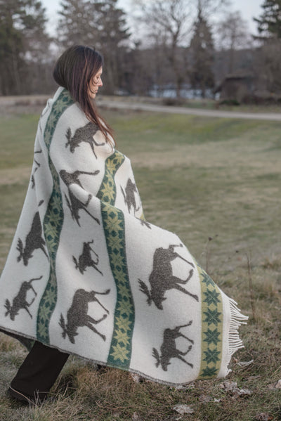 Moose – Blanket