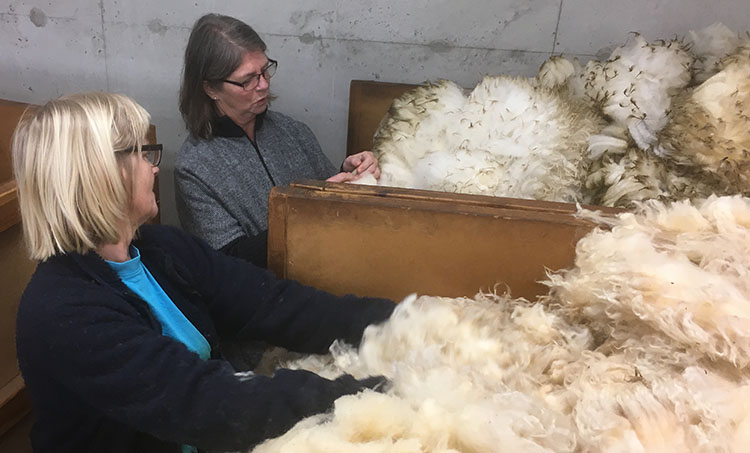Innhenting og sortering av ullen gjøres utenfor Stavanger av Fatland ull. Der blir ullen kvalitetssjekket og sortert. Deretter blir den pakket sammen i store containere.
